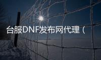 台服DNF发布网代理（dnf台服代码获取工具）