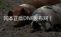 冈本正版DNF发布网（冈本v1.0.0版本兑换激活码）