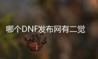 哪个DNF发布网有二觉（dnf二觉时间表）