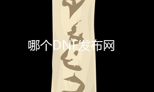 哪个DNF发布网