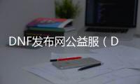 DNF发布网公益服（DNF发布网与勇士公益服吧）