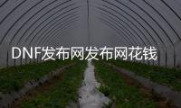 DNF发布网发布网花钱不