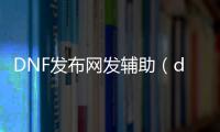 DNF发布网发辅助（dnf辅助软件叫什么）
