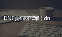 DNF发布网冠军（dnf冠军赛）