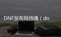DNF发布网侍魂（dnf侍魂70版本攻略）