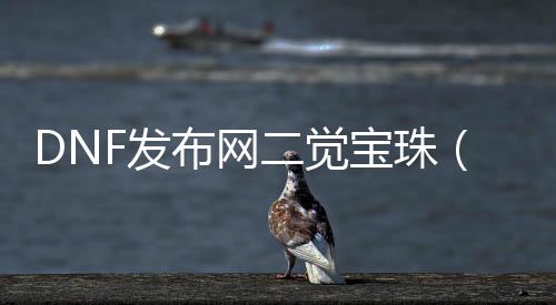 DNF发布网二觉宝珠（DNF发布网二觉装扮通用吗）
