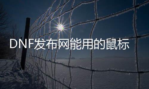 DNF发布网能用的鼠标连点器（dnf鼠标连击）