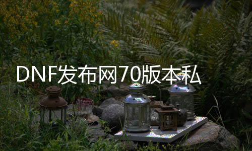 DNF发布网70版本私服人最多服务器（DNF发布网70版本最好玩）