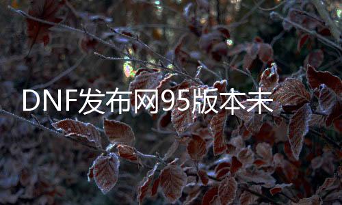 DNF发布网95版本未央私服（DNF发布网未央赚钱吗）