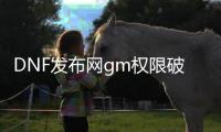 DNF发布网gm权限破解（DNF发布网与勇士gm版）