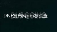 DNF发布网gm怎么查外挂的
