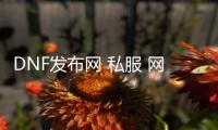 DNF发布网 私服 网关未开放（DNF发布网正在连接网关）