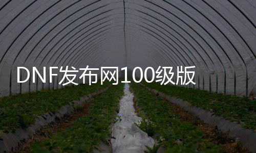 DNF发布网100级版本私服剑影（DNF发布网剑影100级搬砖加点）