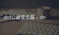 dnf公益变态服（dnf公益服发布网ce改）
