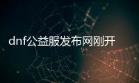 dnf公益服发布网刚开（dnf公益服发布网违法吗）