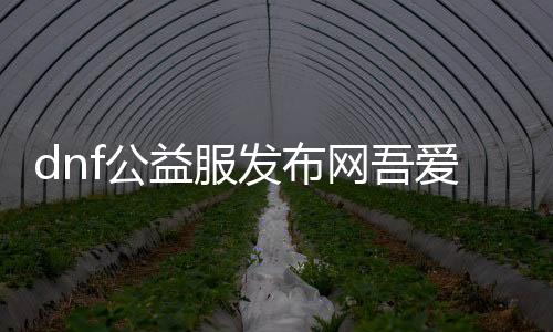 dnf公益服发布网吾爱（探索最受欢迎的dnf公益服发布网）