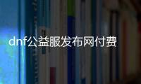 dnf公益服发布网付费辅助（dnf公益服发布网违法吗）