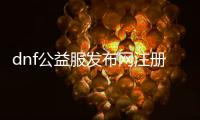 dnf公益服发布网注册（详细步骤和注意事项）