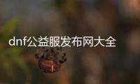 dnf公益服发布网大全（dnf公益服发布网开服时间）