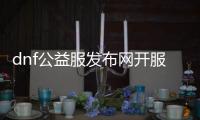 dnf公益服发布网开服表（dnf公益服发布网啥意思）