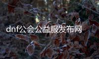 dnf公会公益服发布网登录器（快速下载和安装方法）