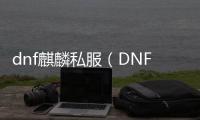dnf麒麟私服（DNF发布网与勇士麒麟套是哪年的）