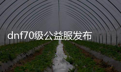 dnf70级公益服发布网游戏排行榜（dnf70公益服发布网网站）