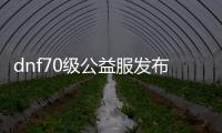 dnf70级公益服发布网图片（展示最新版本的DNF70级公益服发布网）