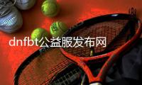 dnfbt公益服发布网网怎么玩,最全dnfbt公益服发布网下载教程