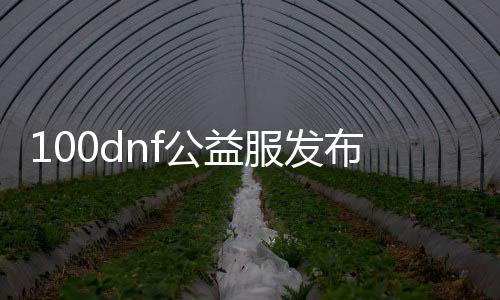 100dnf公益服发布网（dnf100级公益服发布网哪个最好）