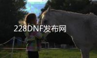 228DNF发布网