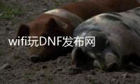 wifi玩DNF发布网与勇士私服卡吗（无线网玩dnf）